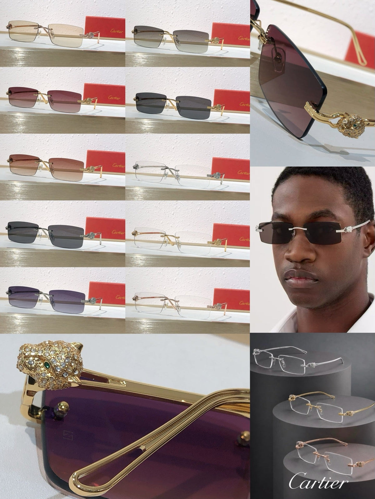 10 Color Rimless Panther Head Sunglasses CT0647S