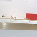 10 Color Rimless Panther Head Sunglasses CT0647S