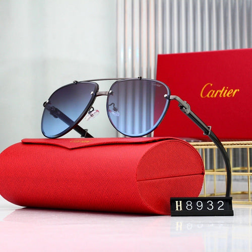 7 Color Panther Decor Aviator Sunglasses H8932