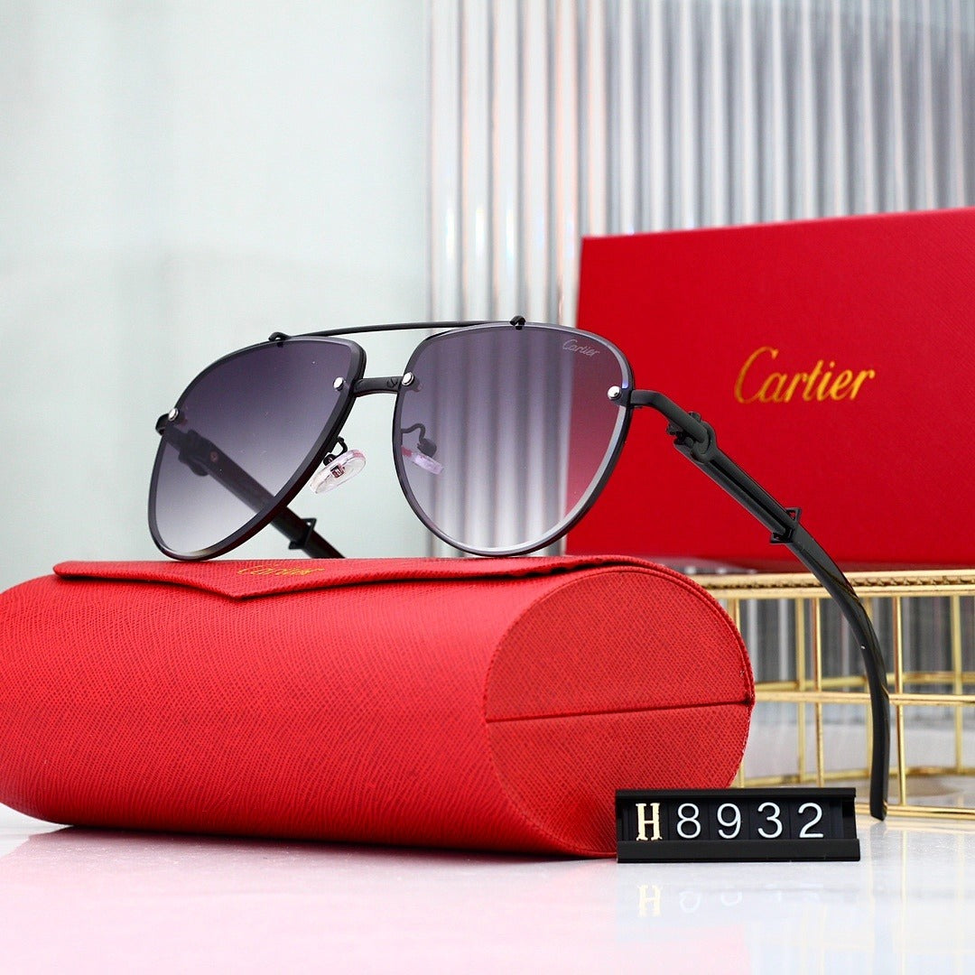 7 Color Panther Decor Aviator Sunglasses H8932